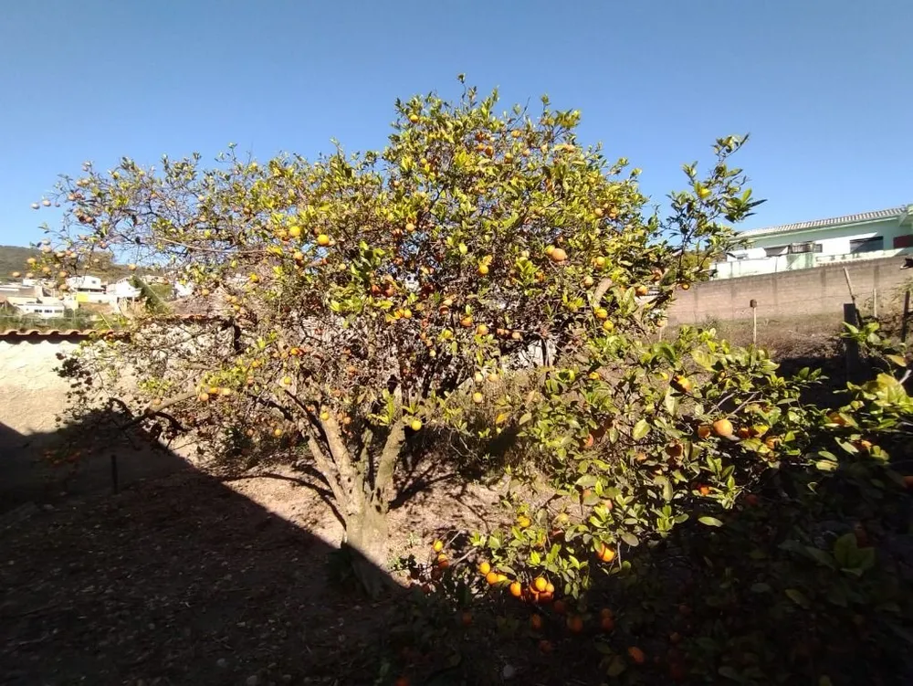 Terreno, 300 m² - Foto 10