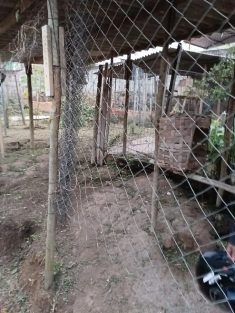 Terreno, 300 m² - Foto 7
