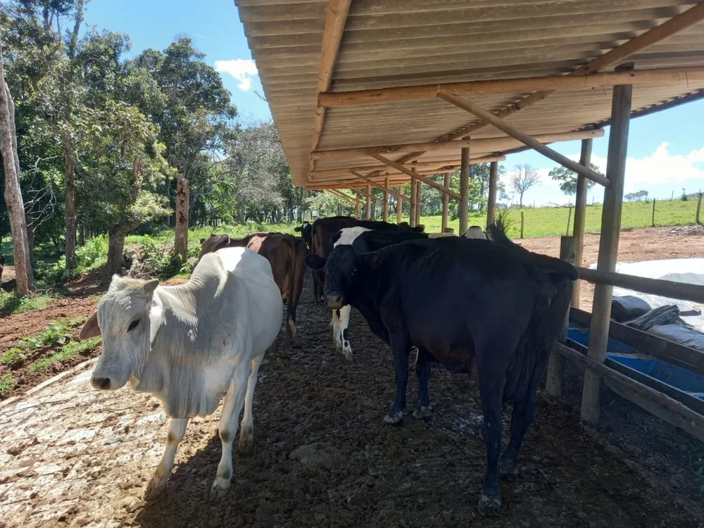 Fazenda, 3 quartos - Foto 1