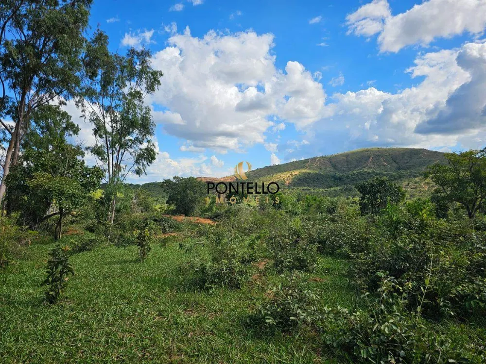 Fazenda, 10400 hectares - Foto 4