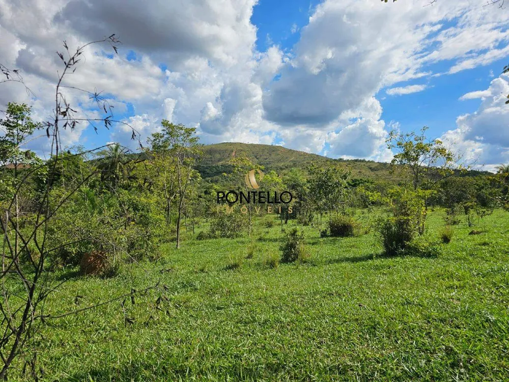 Fazenda, 10400 hectares - Foto 6