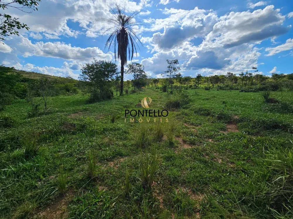 Fazenda, 10400 hectares - Foto 9
