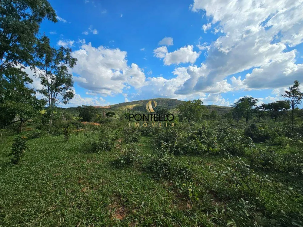 Fazenda, 10400 hectares - Foto 3