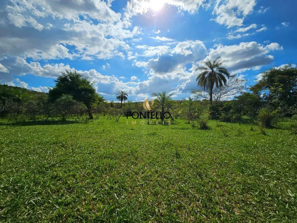 Fazenda, 10400 hectares - Foto 7