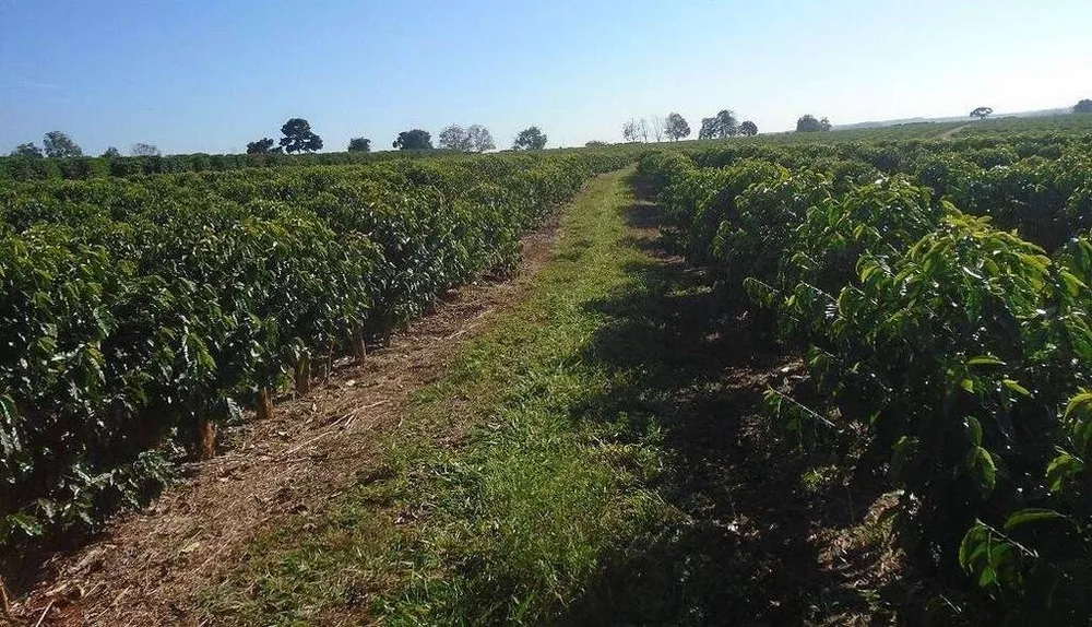 Fazenda, 13 m² - Foto 1