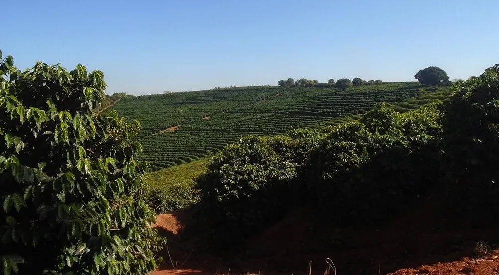 Fazenda, 13 m² - Foto 8