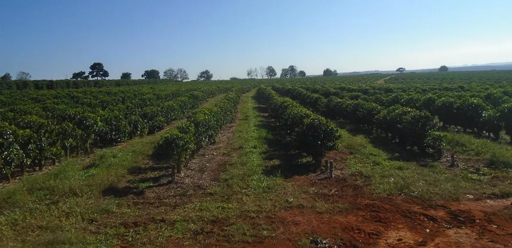 Fazenda, 13 m² - Foto 5