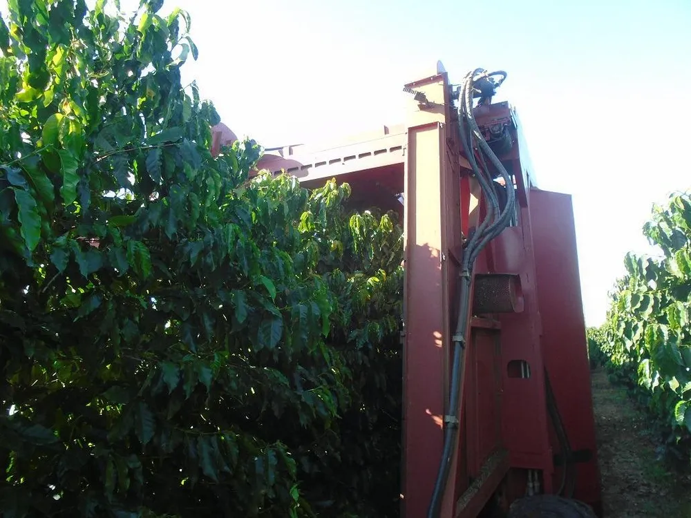 Fazenda, 13 m² - Foto 9