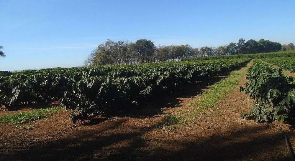 Fazenda, 13 m² - Foto 4