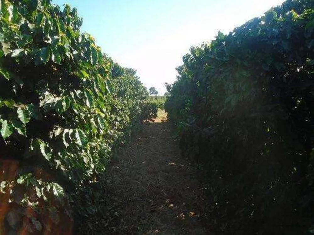 Fazenda, 13 m² - Foto 3