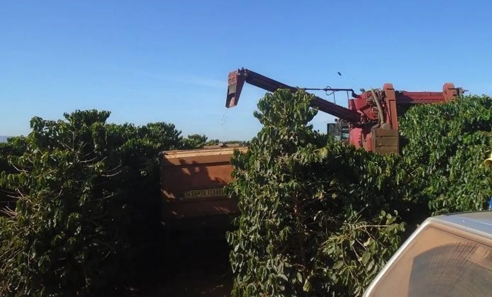 Fazenda, 13 m² - Foto 14