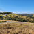 Terreno, 417 m² - Foto 6