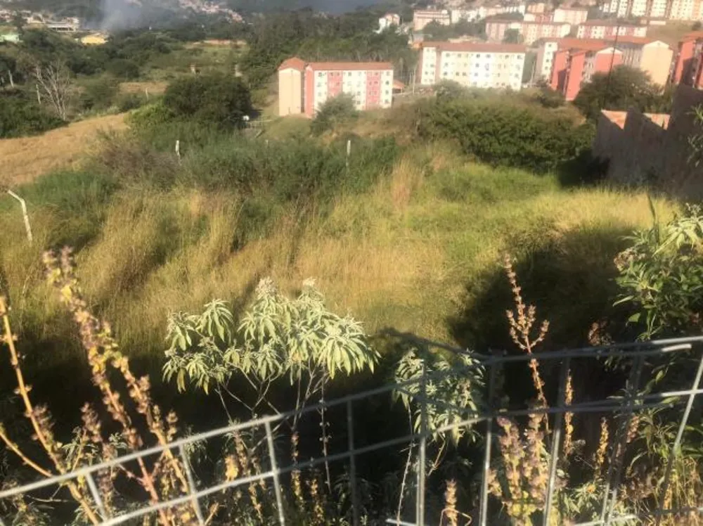 Terreno, 501 m² - Foto 3