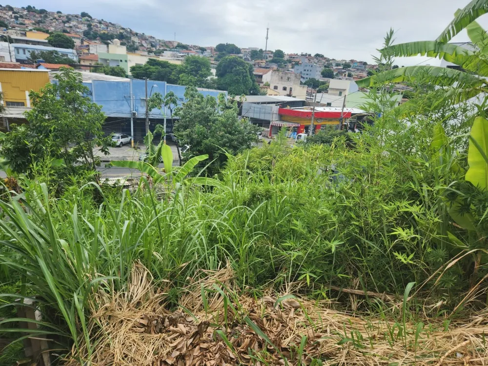 Terreno, 520 m² - Foto 5