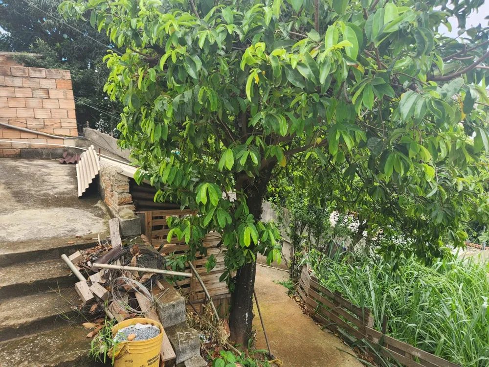 Terreno, 520 m² - Foto 4