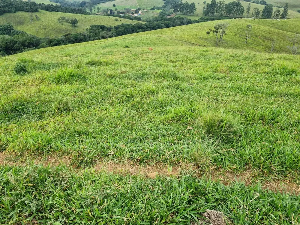 Fazenda, 242 hectares - Foto 6
