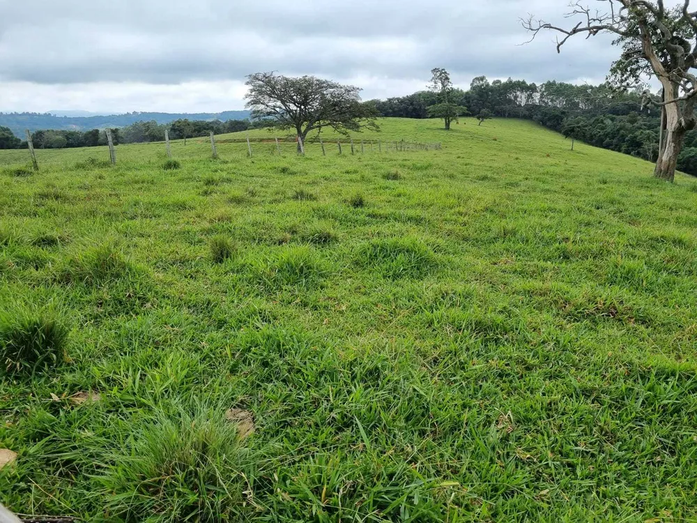Fazenda, 242 hectares - Foto 10