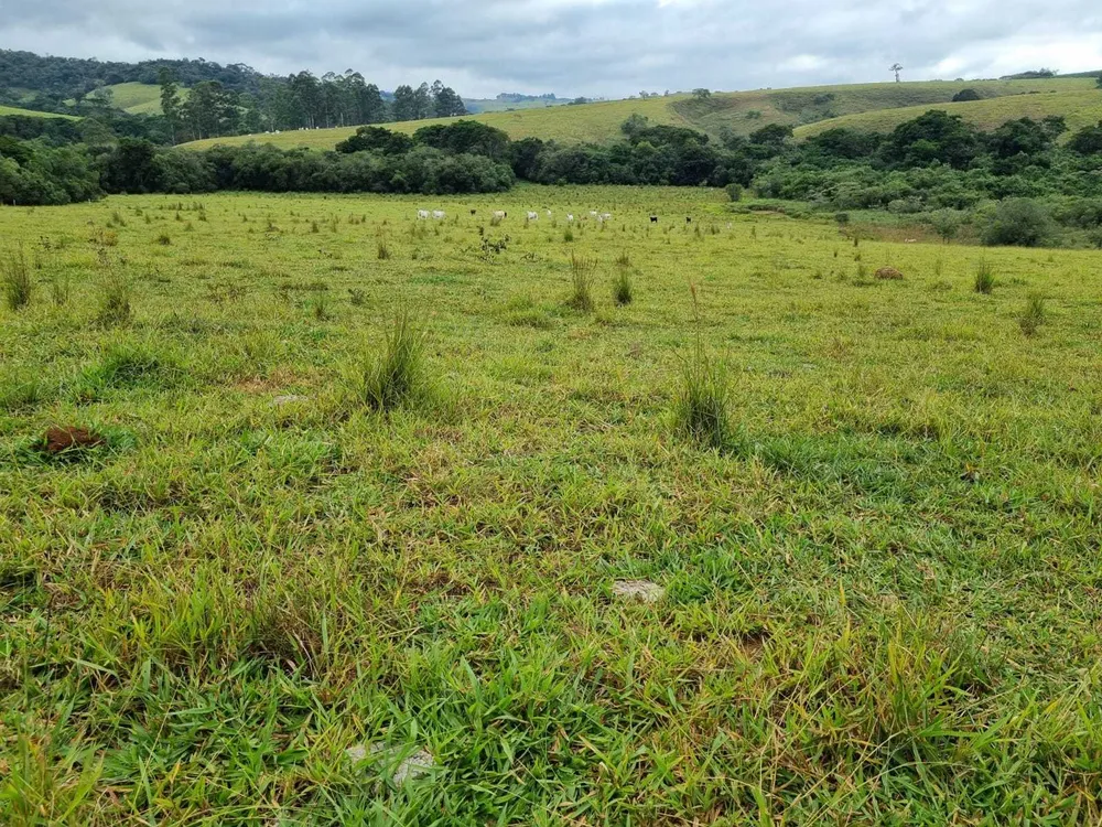 Fazenda, 242 hectares - Foto 17