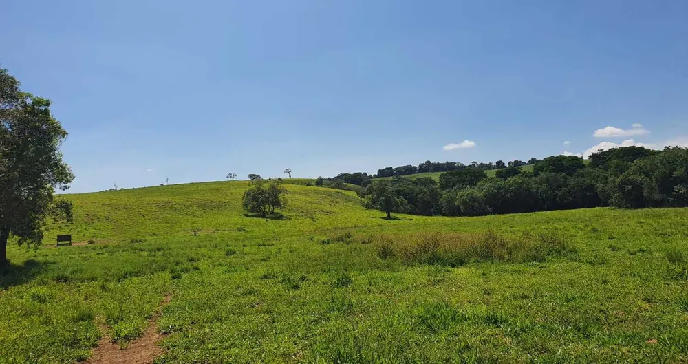Fazenda, 242 hectares - Foto 16
