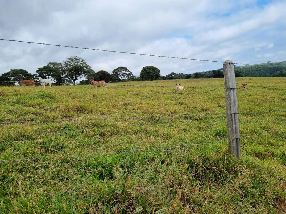 Fazenda, 242 hectares - Foto 18