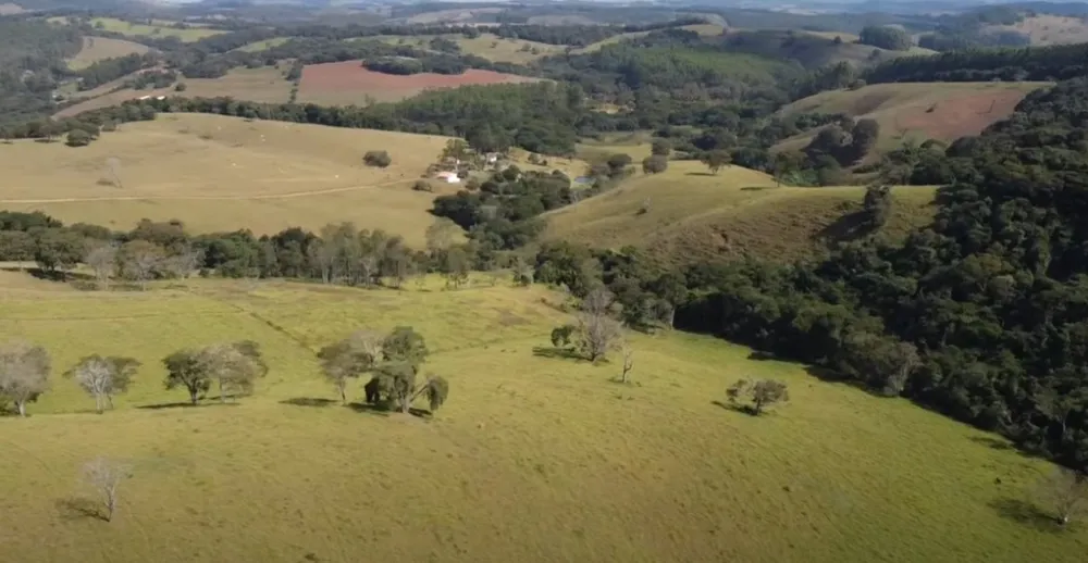 Fazenda, 242 hectares - Foto 11