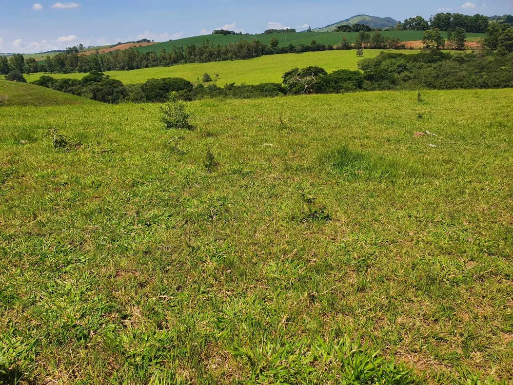Fazenda, 242 hectares - Foto 11