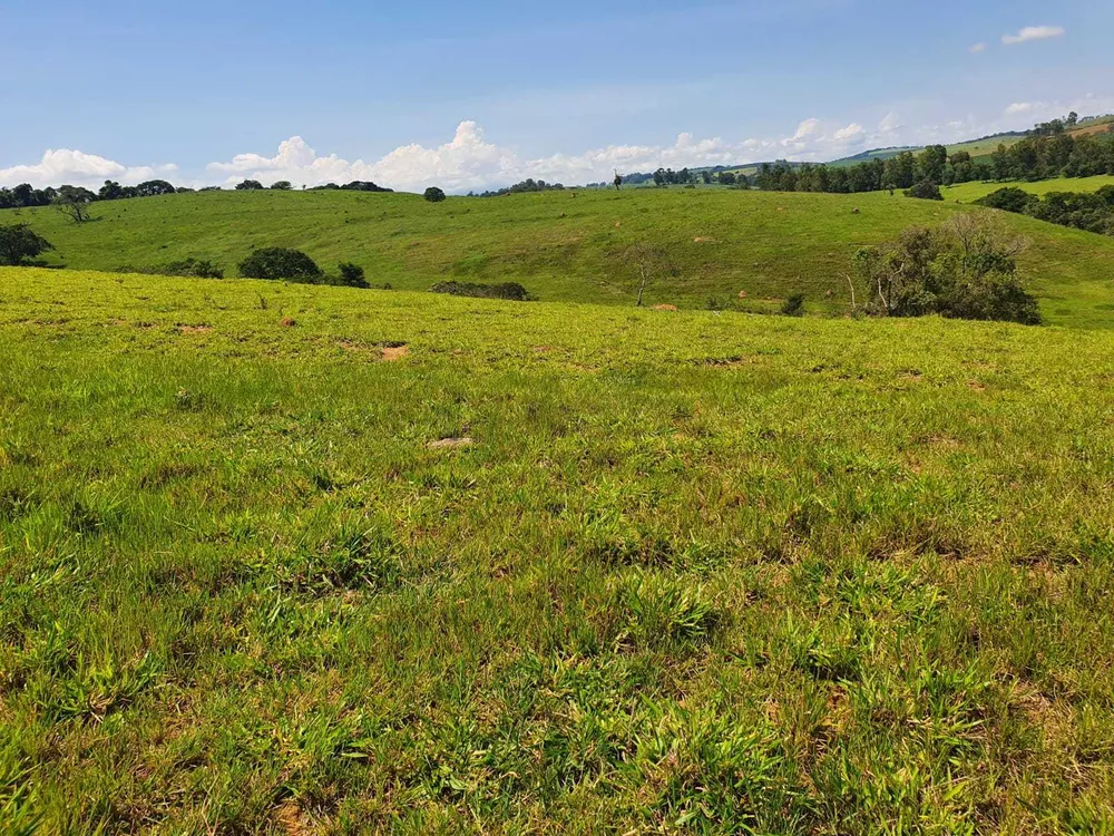 Fazenda, 242 hectares - Foto 12