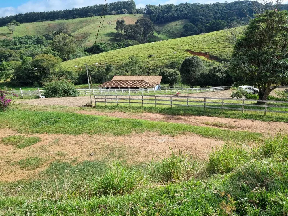 Fazenda, 242 hectares - Foto 3