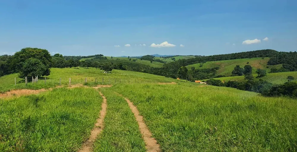 Fazenda, 242 hectares - Foto 13