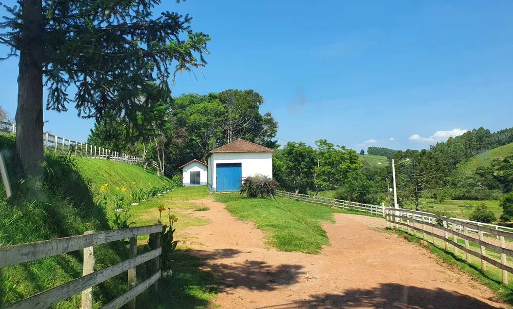 Fazenda, 242 hectares - Foto 4