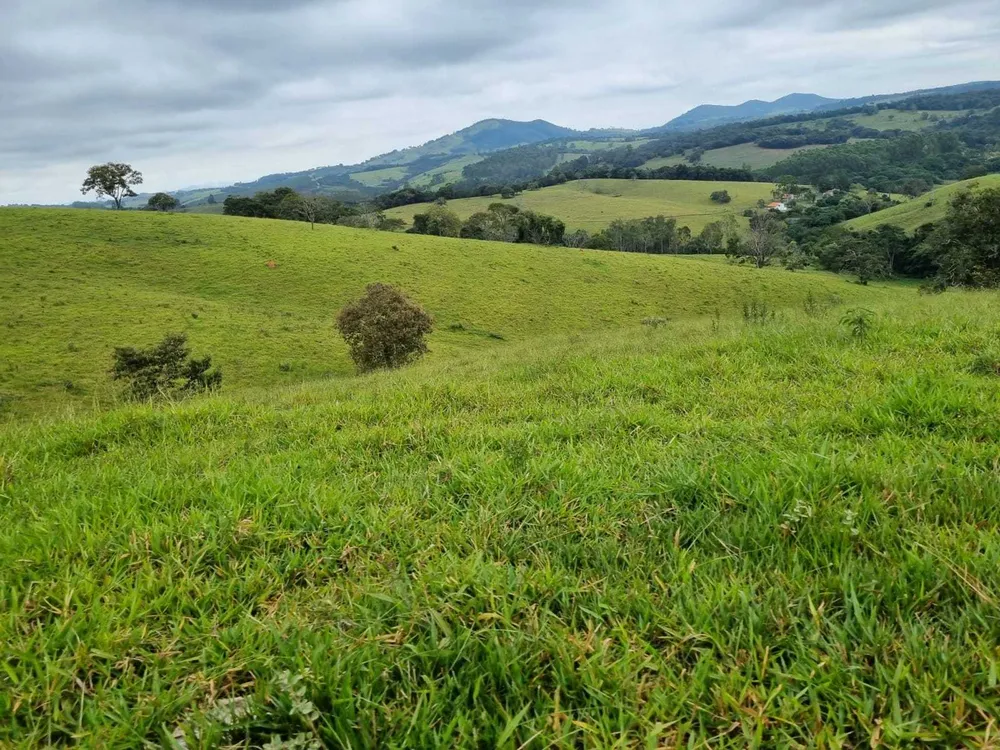 Fazenda, 242 hectares - Foto 19