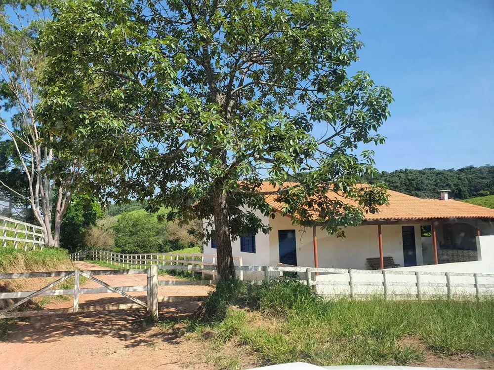 Fazenda, 242 hectares - Foto 2