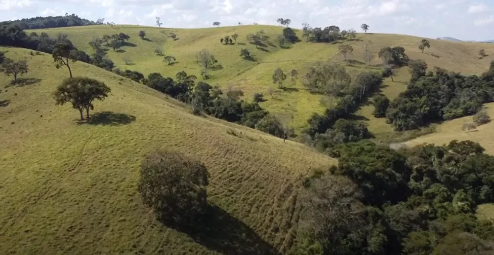 Fazenda, 242 hectares - Foto 9
