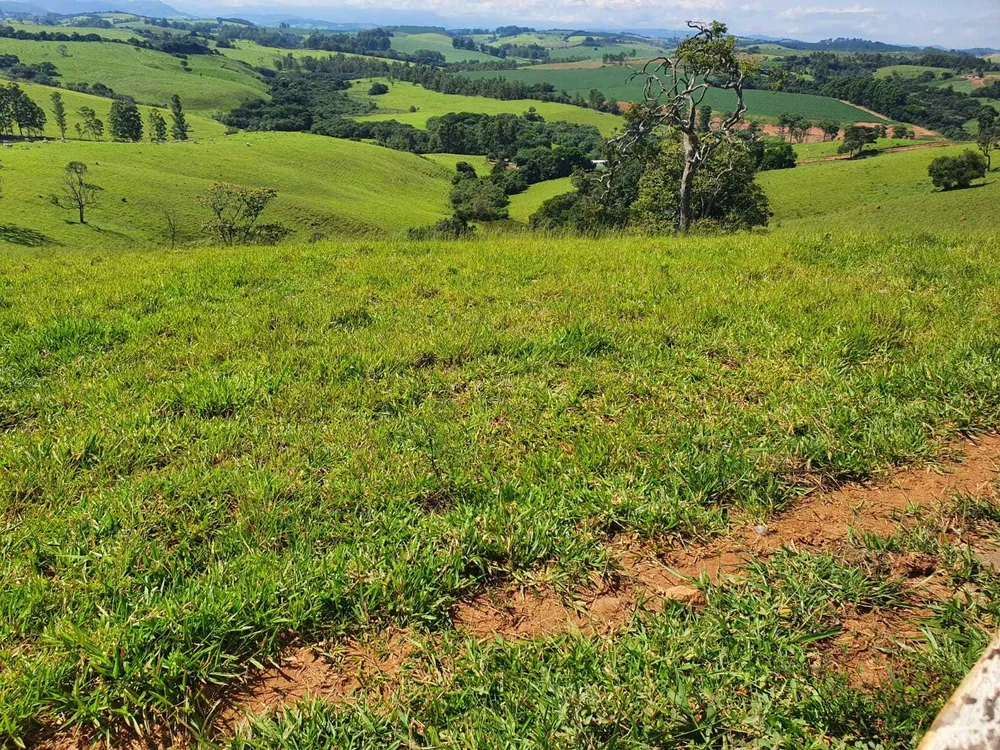 Fazenda, 242 hectares - Foto 1