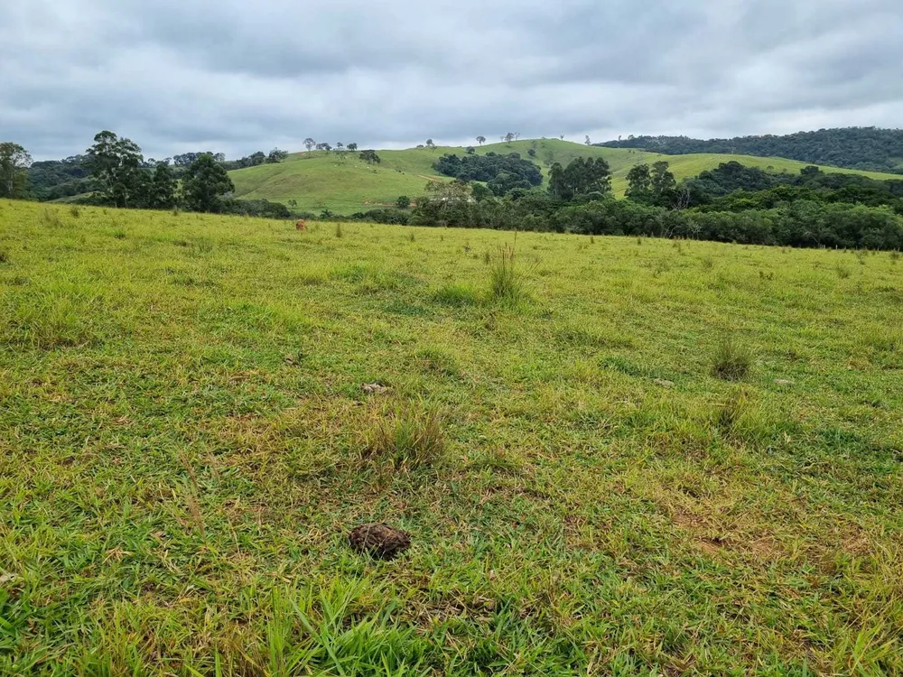 Fazenda, 242 hectares - Foto 7