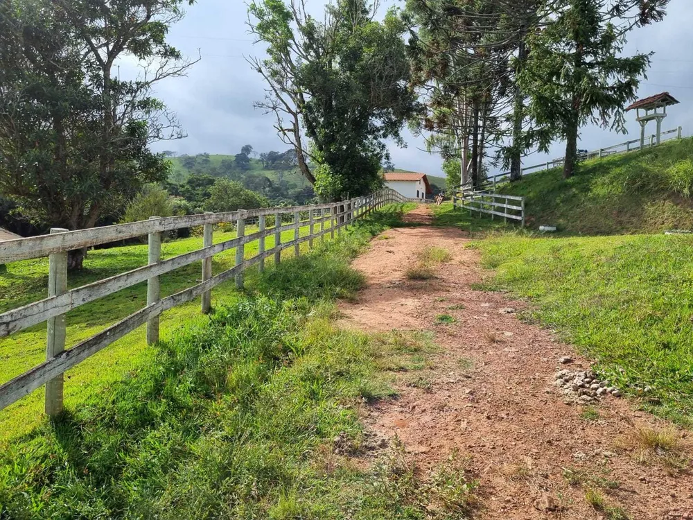 Fazenda, 242 hectares - Foto 22