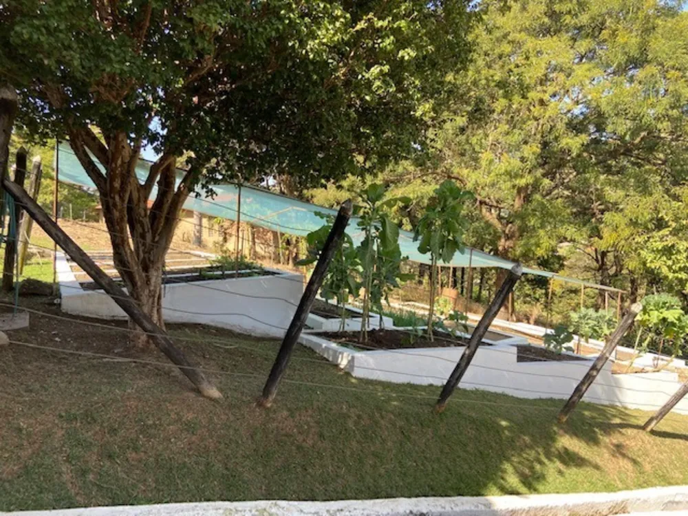 Sítio, 8 quartos, 2 hectares - Foto 11
