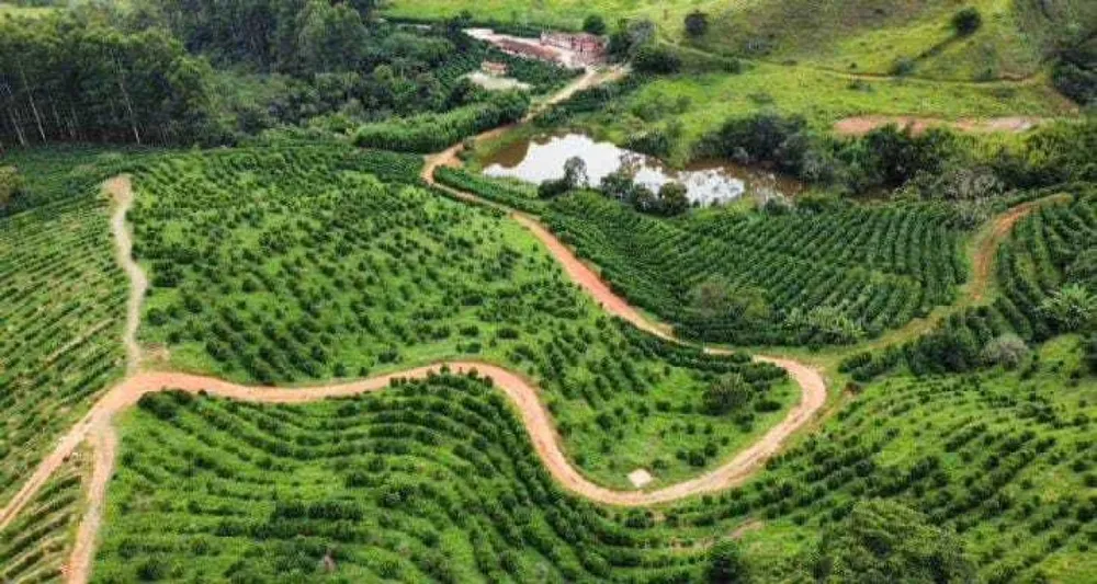 Fazenda, 85 hectares - Foto 8