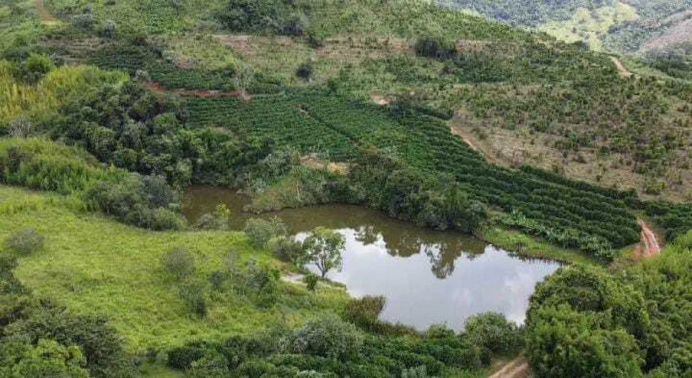 Fazenda, 85 hectares - Foto 12