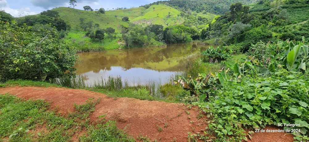 Fazenda, 85 hectares - Foto 3