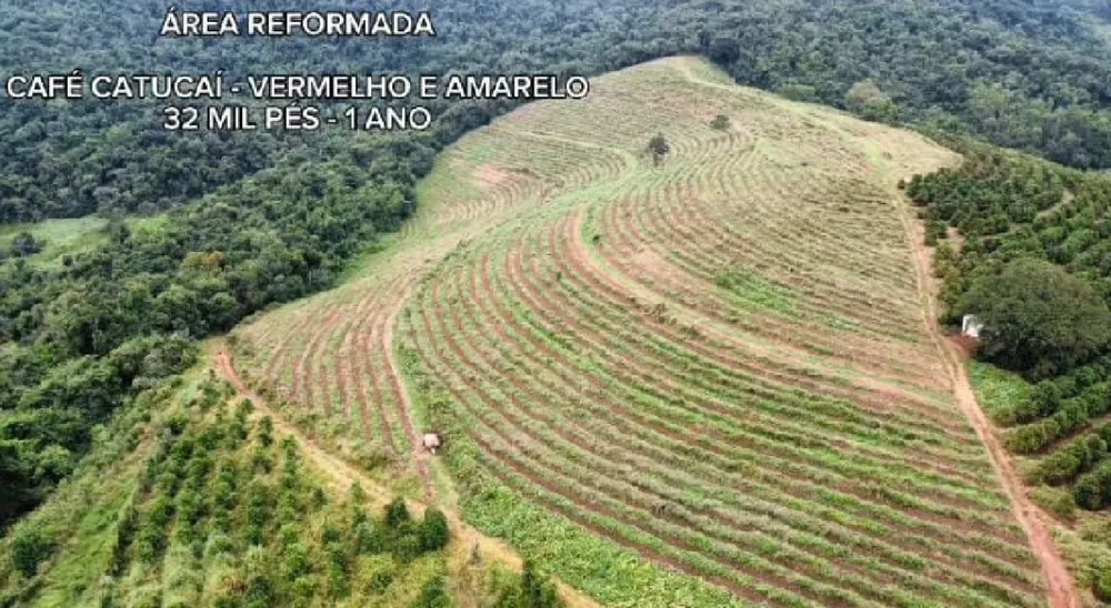 Fazenda, 85 hectares - Foto 12