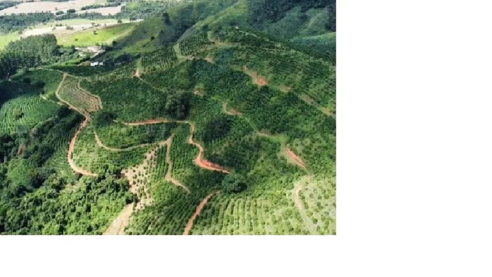 Fazenda, 85 hectares - Foto 10