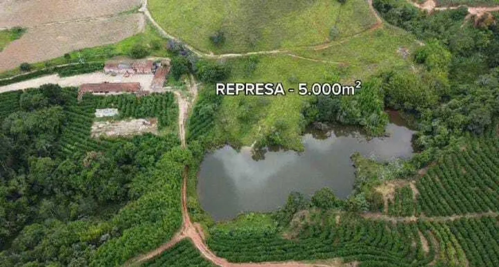 Fazenda, 85 hectares - Foto 5
