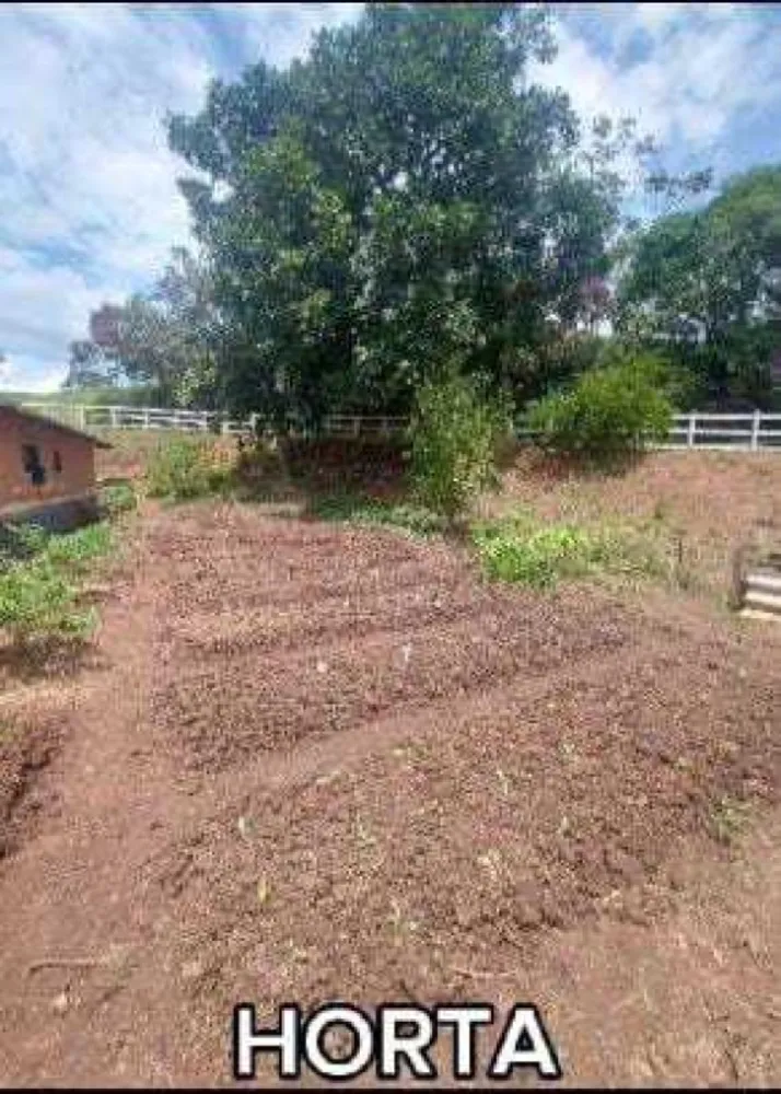 Fazenda, 85 hectares - Foto 19