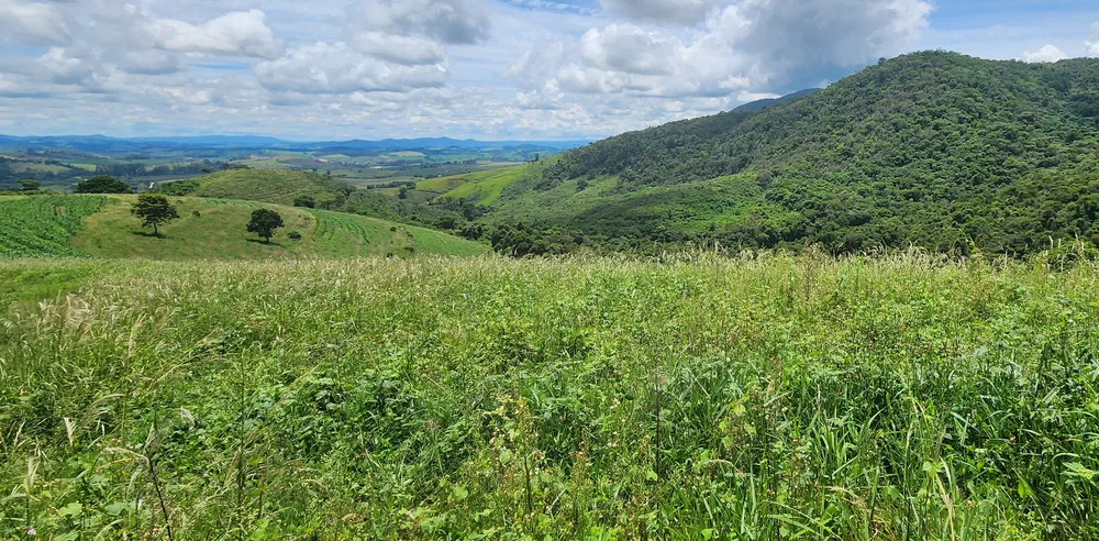Fazenda, 85 hectares - Foto 4