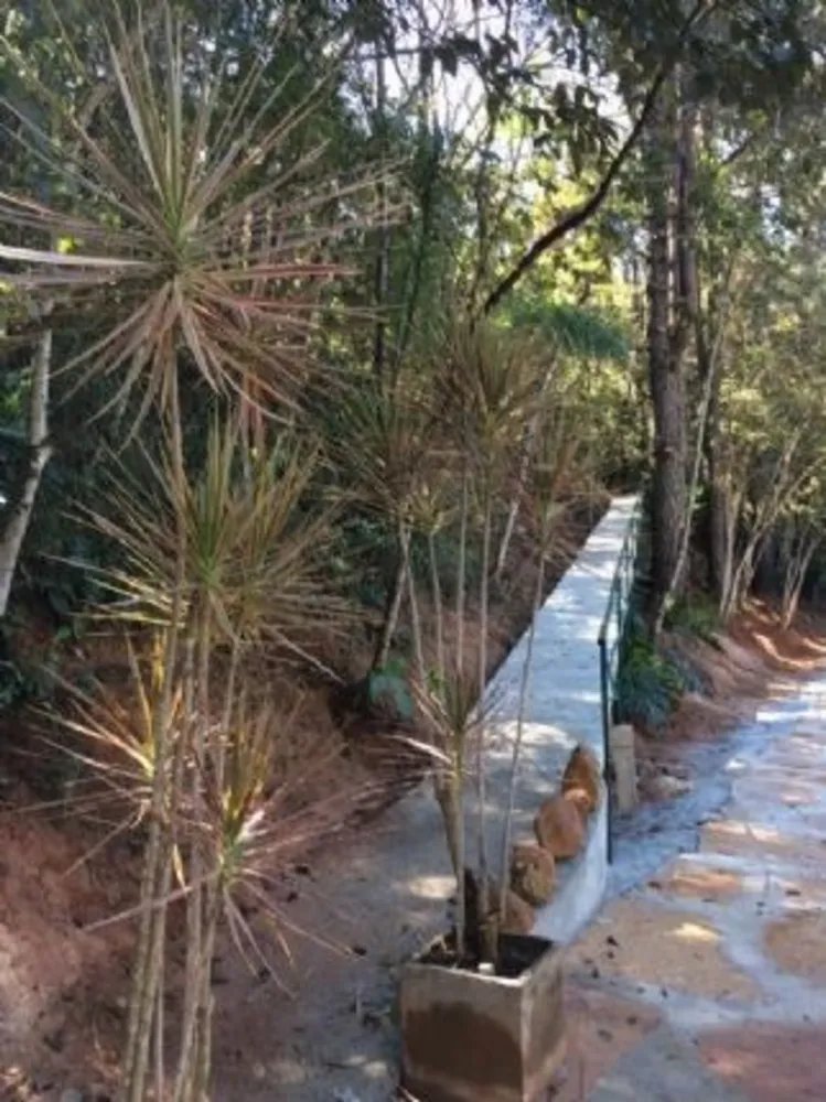 Terreno, 1000 m² - Foto 4