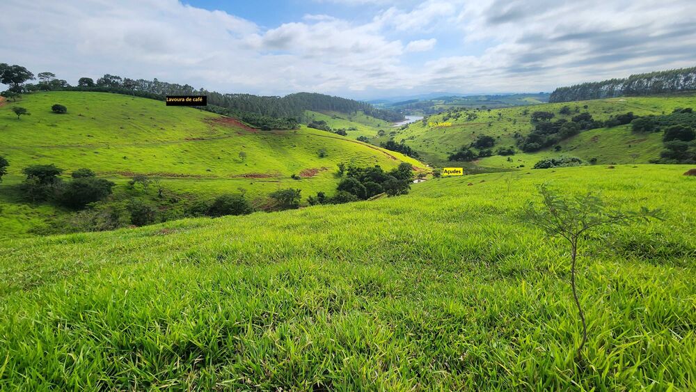 Fazenda à venda com 1 quarto, 2420000m² - Foto 2
