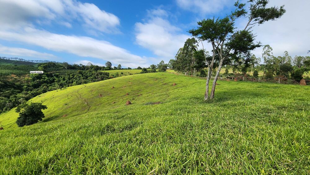 Fazenda à venda com 1 quarto, 2420000m² - Foto 1