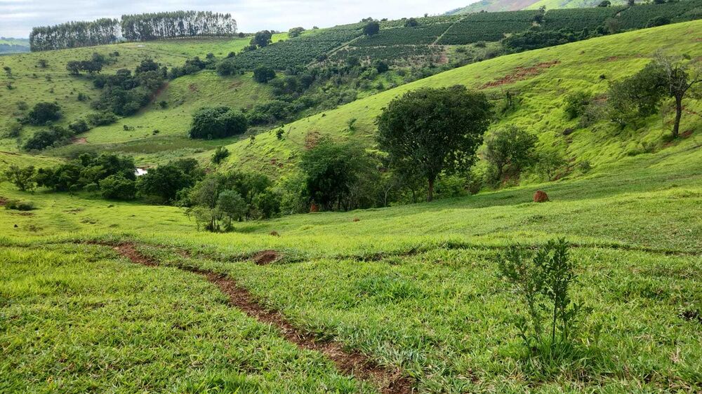 Fazenda à venda com 1 quarto, 2420000m² - Foto 4