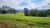 Fazenda, 34 hectares - Foto 3